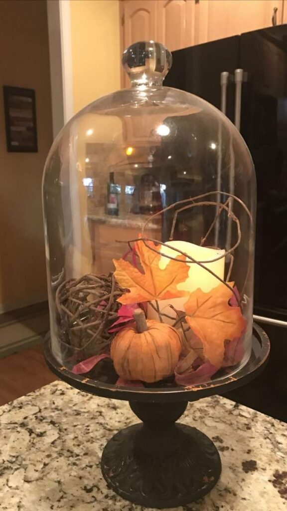A Cloche Display With Seasonal Objects