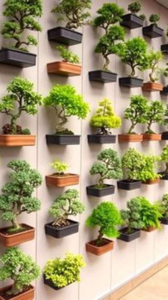 Bonsai or Pruned Indoor Plants for Deliberate Organic Form