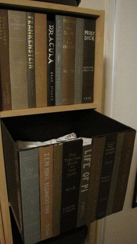 Hollow Book or Faux Book Spine Storage
